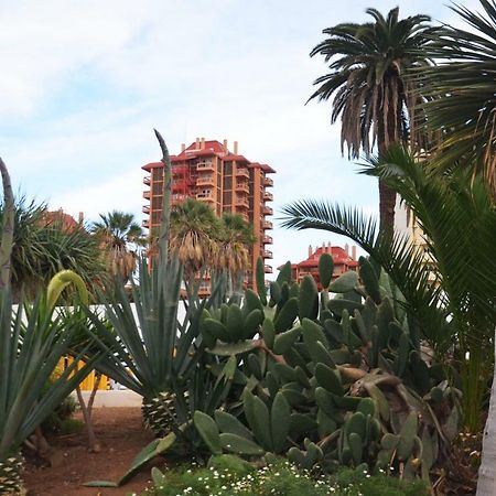 Sunshine Studio Puerto de la Cruz  Exteriör bild